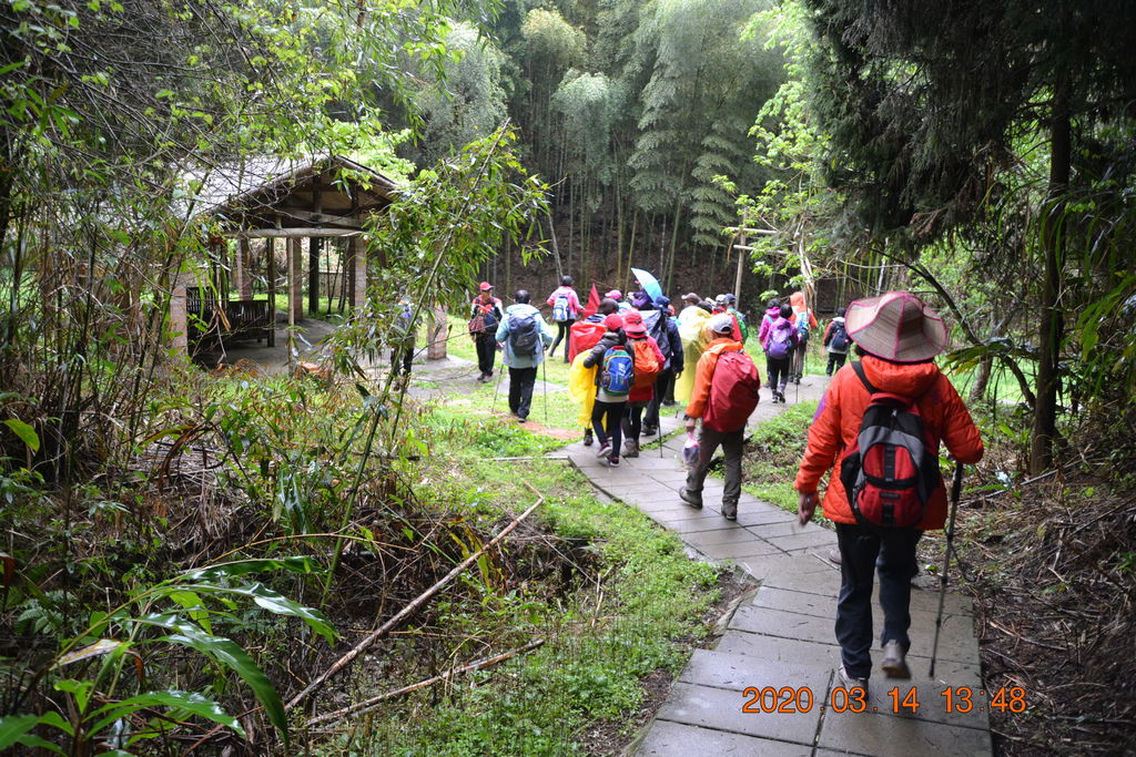 DSC_0196.JPG DSC_0196.JPG