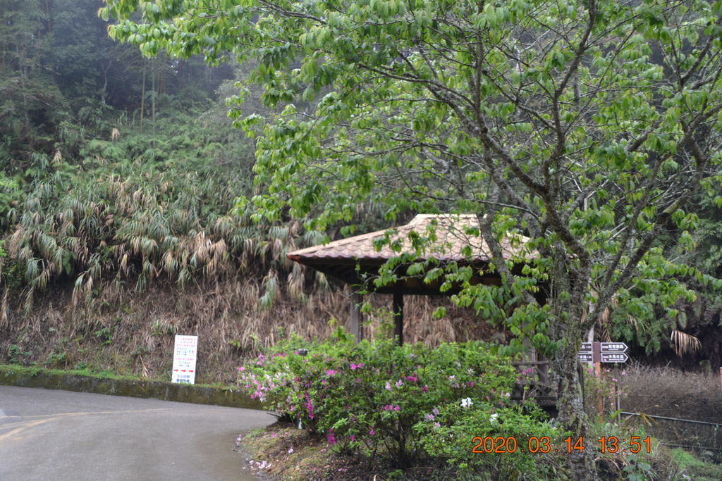 DSC_0202.JPG DSC_0202.JPG