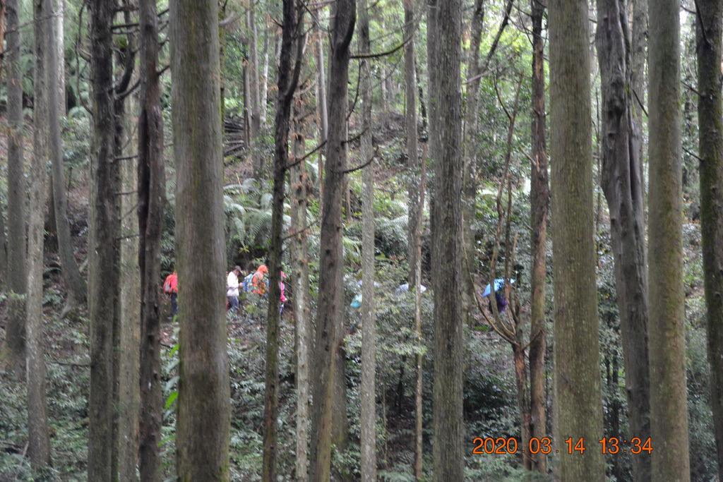 DSC_0188.JPG DSC_0188.JPG