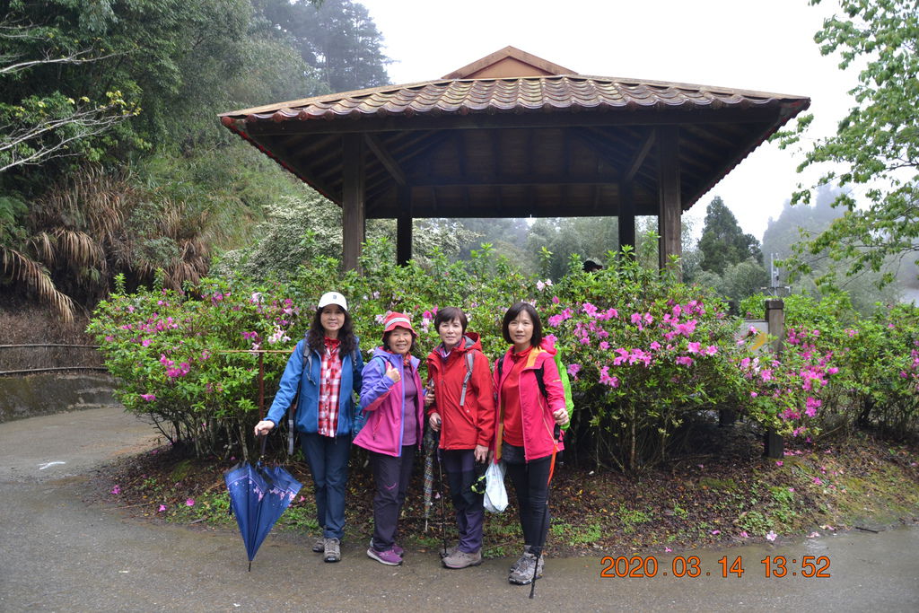 DSC_0204.JPG DSC_0204.JPG