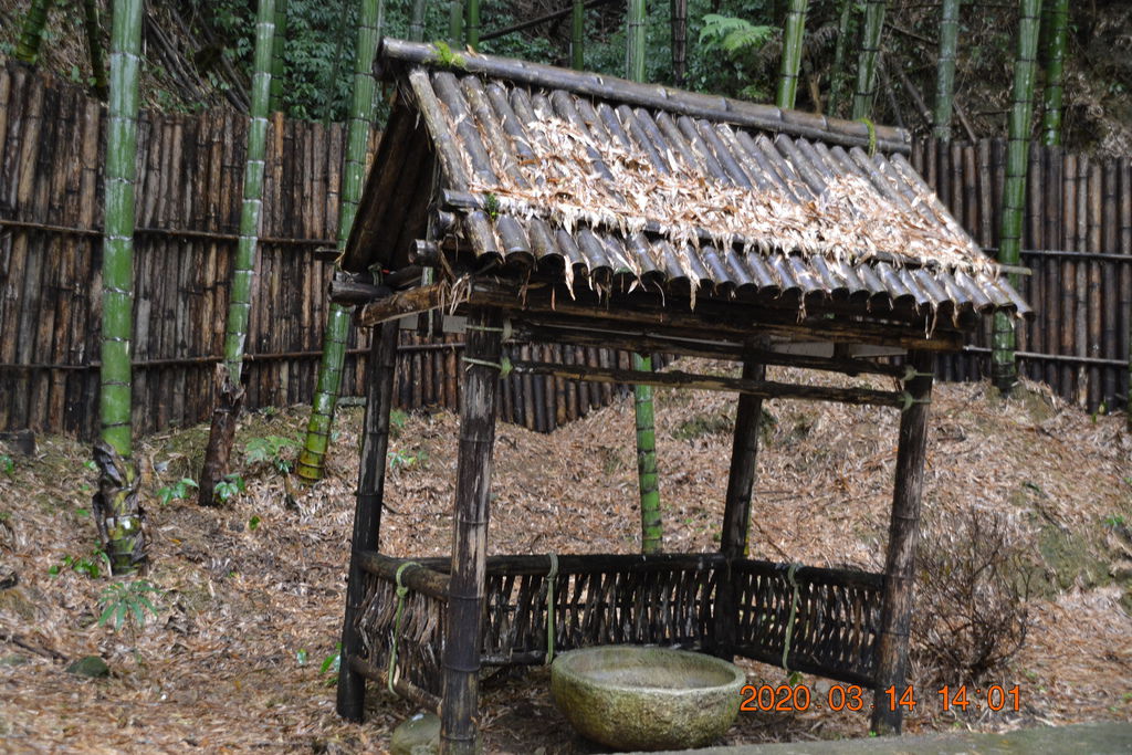DSC_0217.JPG DSC_0217.JPG