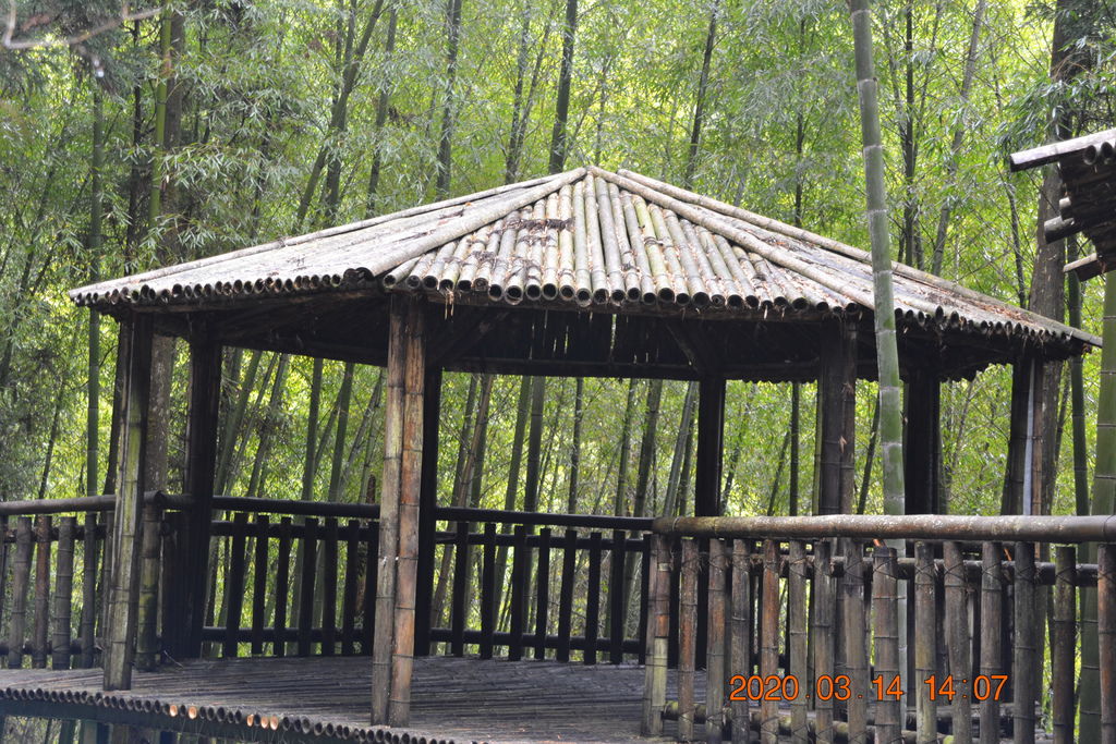DSC_0236.JPG DSC_0236.JPG