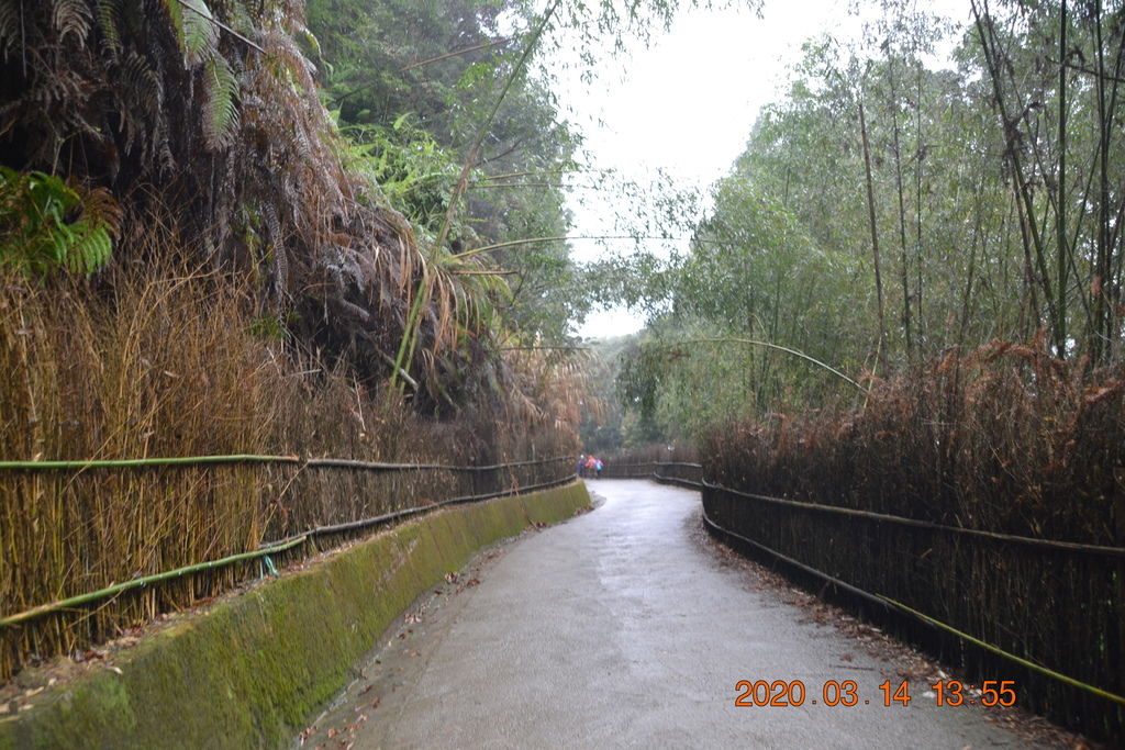 DSC_0213.JPG DSC_0213.JPG