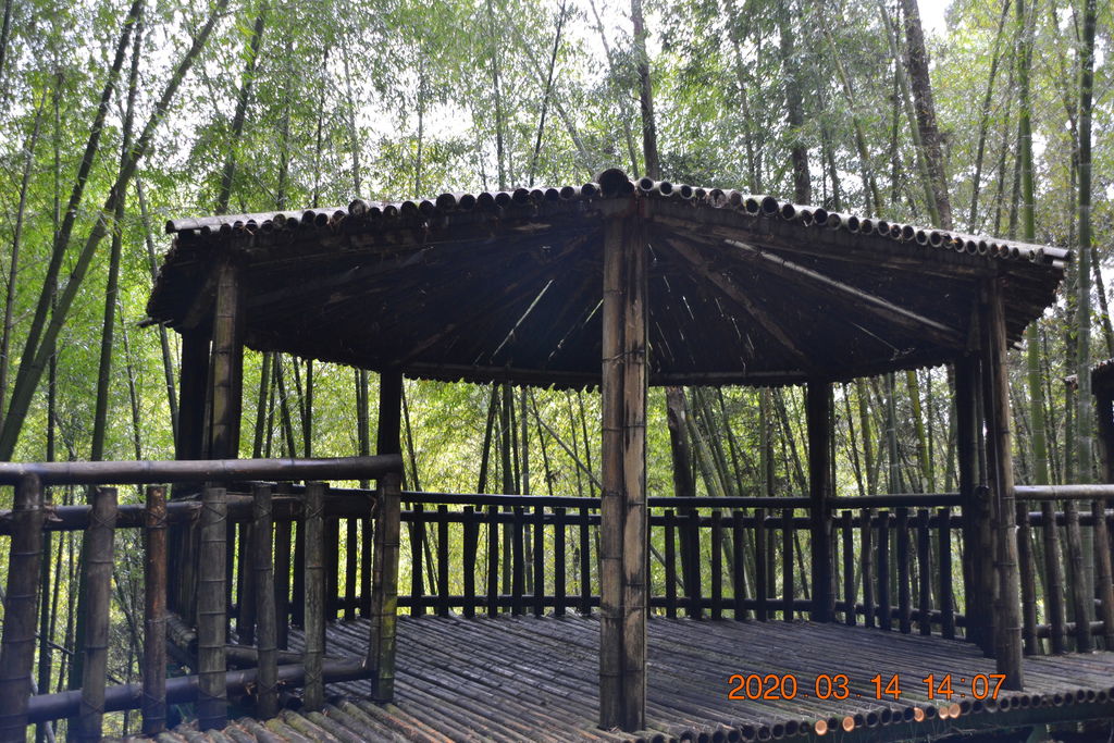 DSC_0237.JPG DSC_0237.JPG