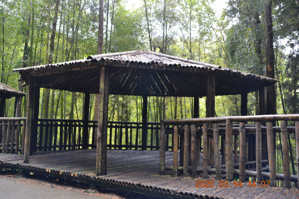 DSC_0235.JPG DSC_0235.JPG