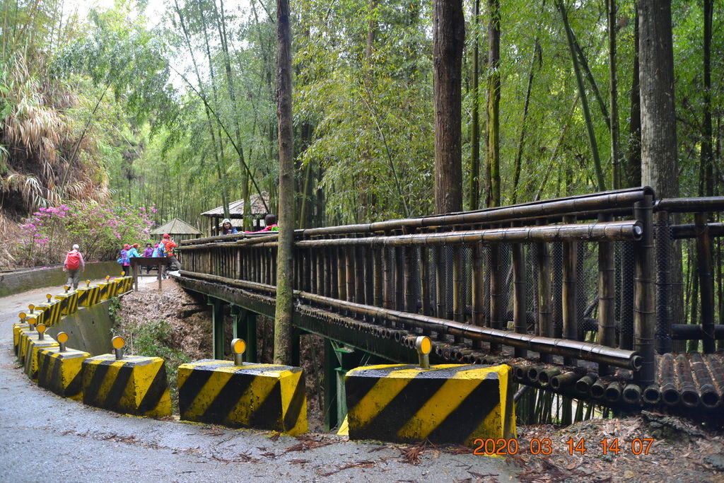 DSC_0238.JPG DSC_0238.JPG