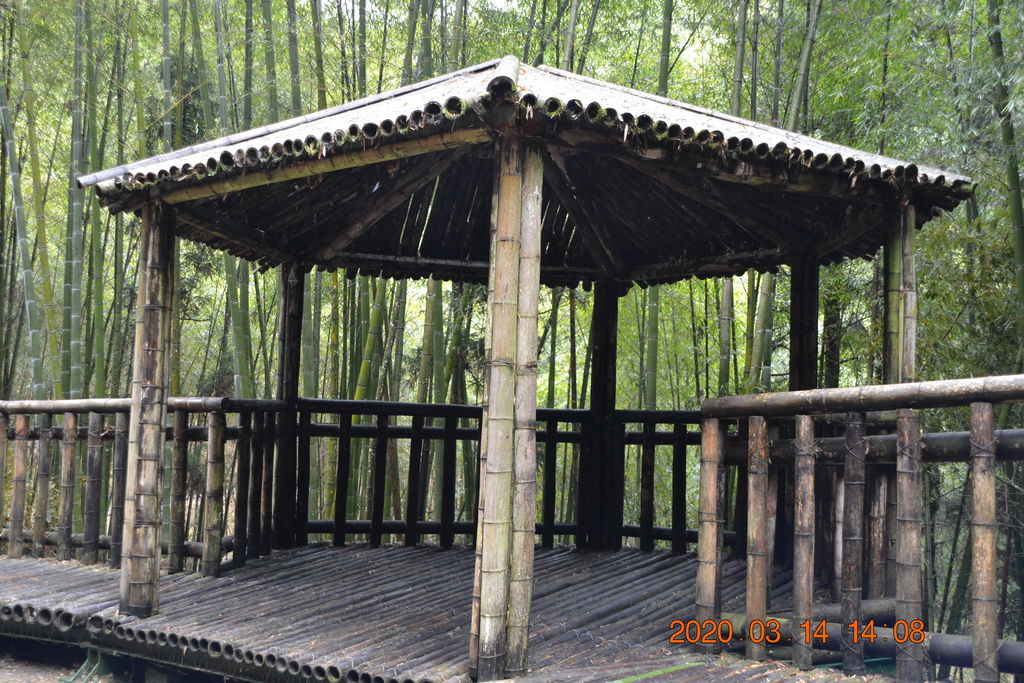 DSC_0242.JPG DSC_0242.JPG
