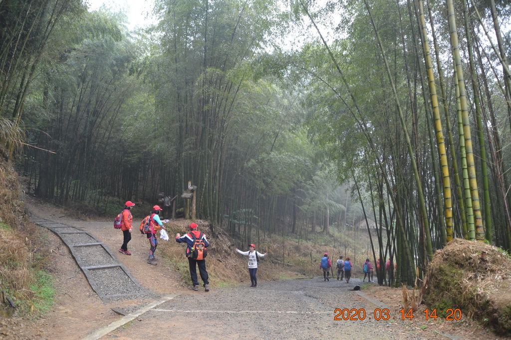 DSC_0268.JPG DSC_0268.JPG