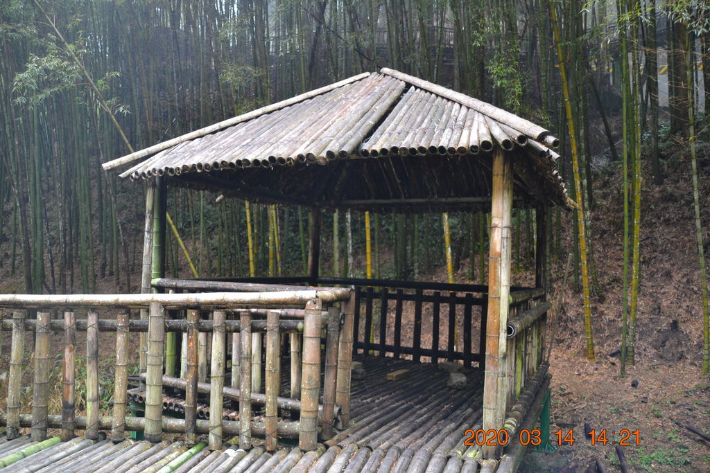 DSC_0271.JPG DSC_0271.JPG