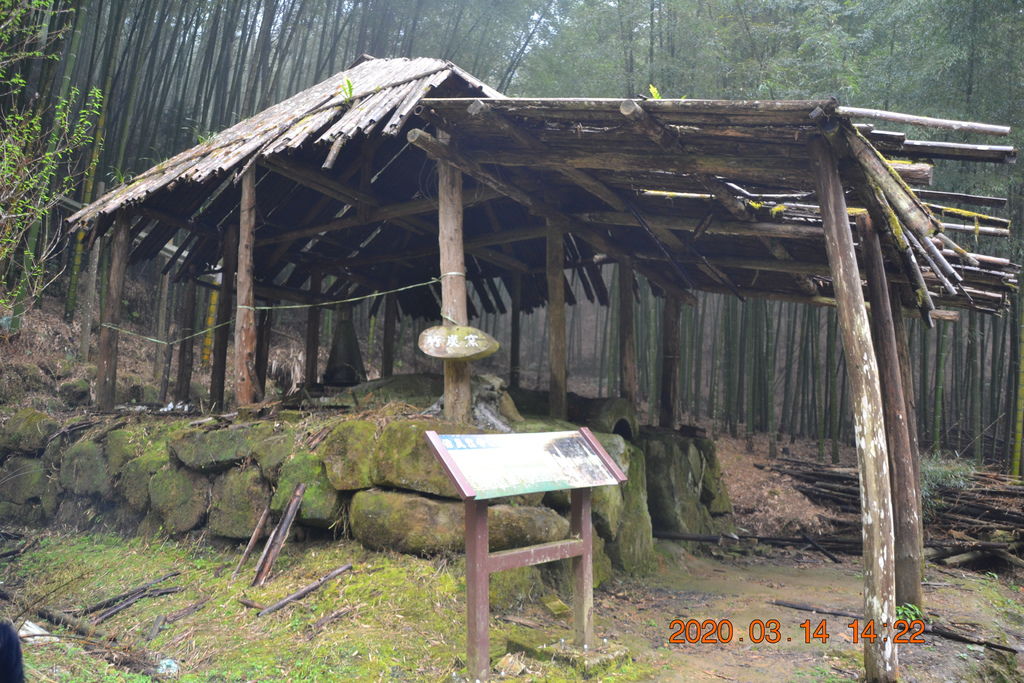 DSC_0274.JPG DSC_0274.JPG