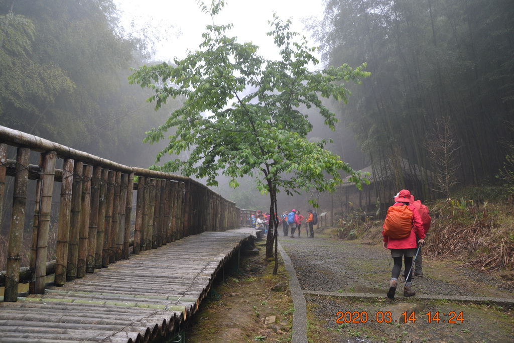 DSC_0279.JPG DSC_0279.JPG