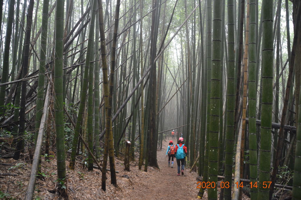 DSC_0320.JPG DSC_0320.JPG