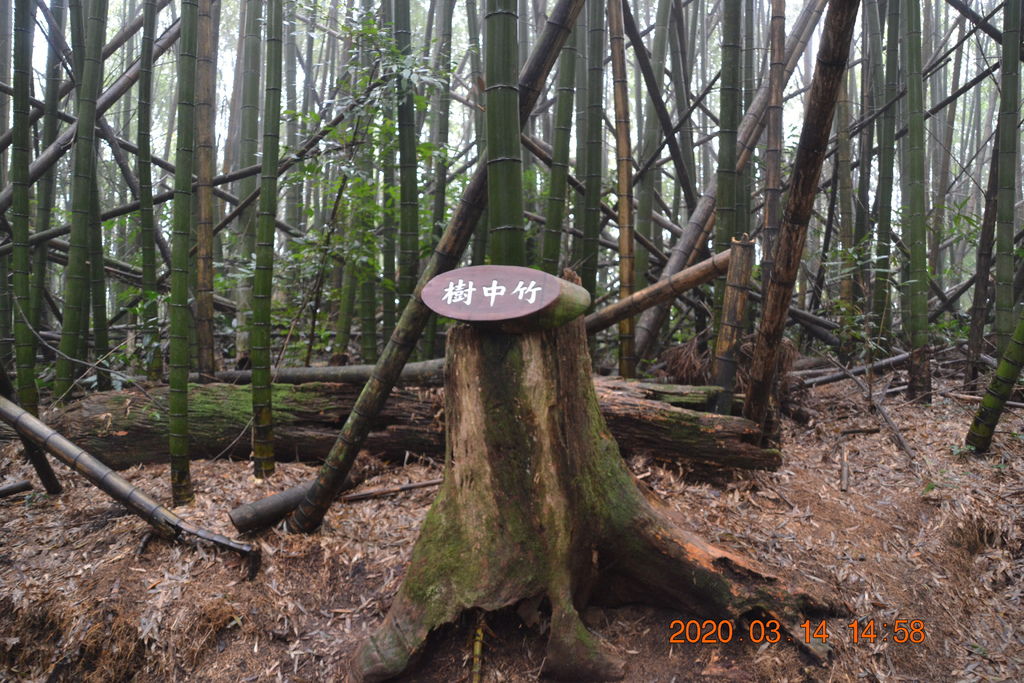 DSC_0322.JPG DSC_0322.JPG