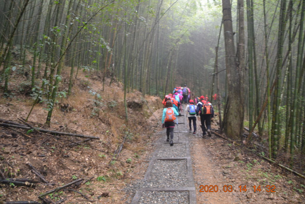 DSC_0296.JPG DSC_0296.JPG