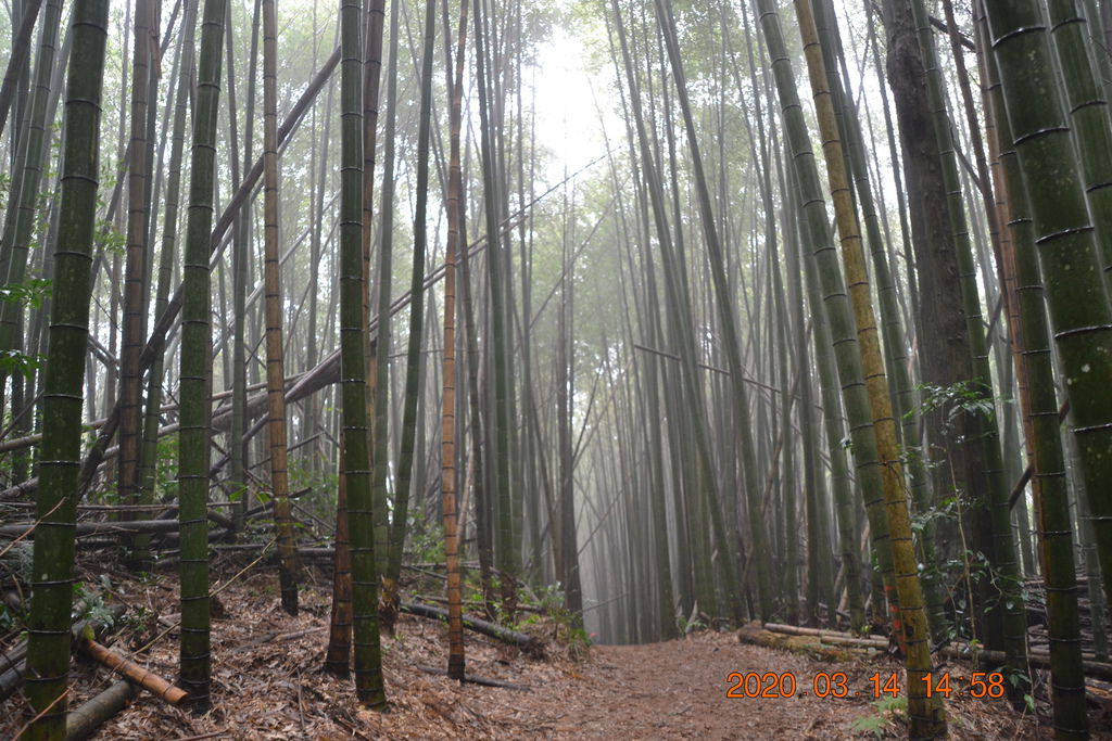 DSC_0323.JPG DSC_0323.JPG