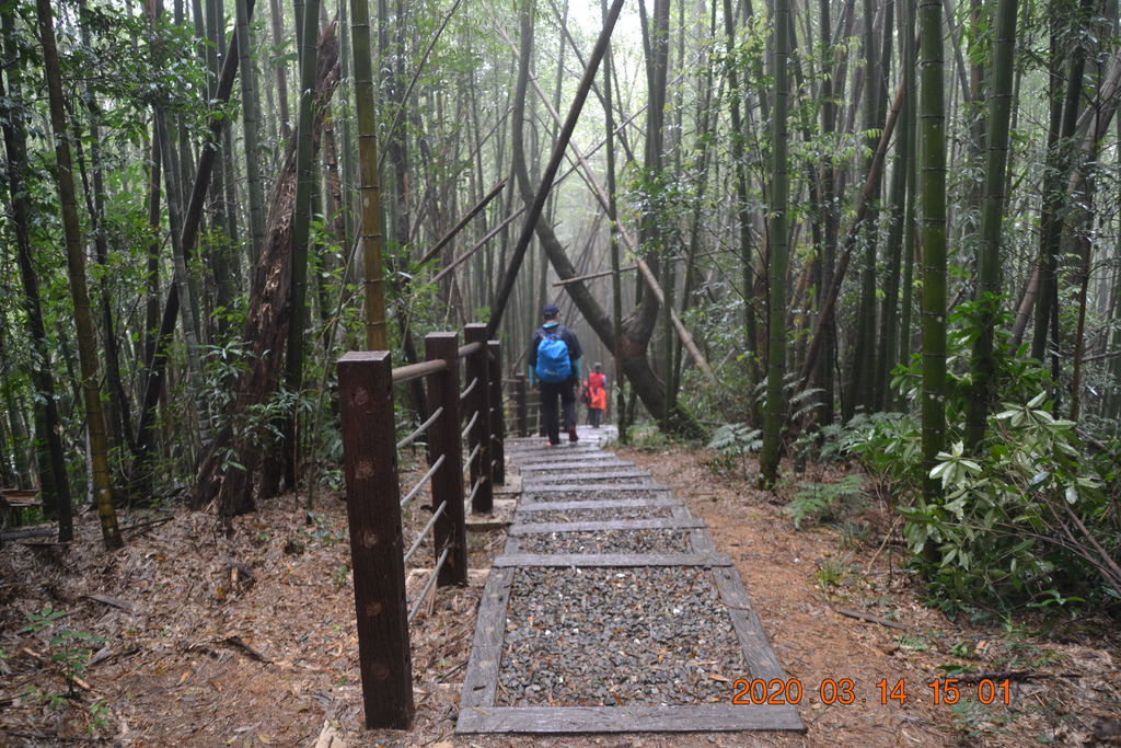 DSC_0324.JPG DSC_0324.JPG