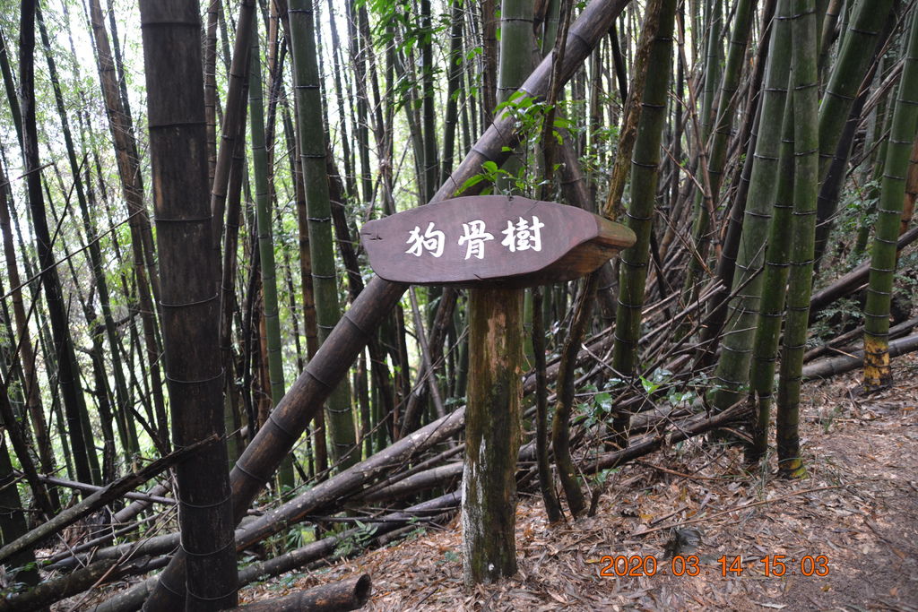 DSC_0326.JPG DSC_0326.JPG