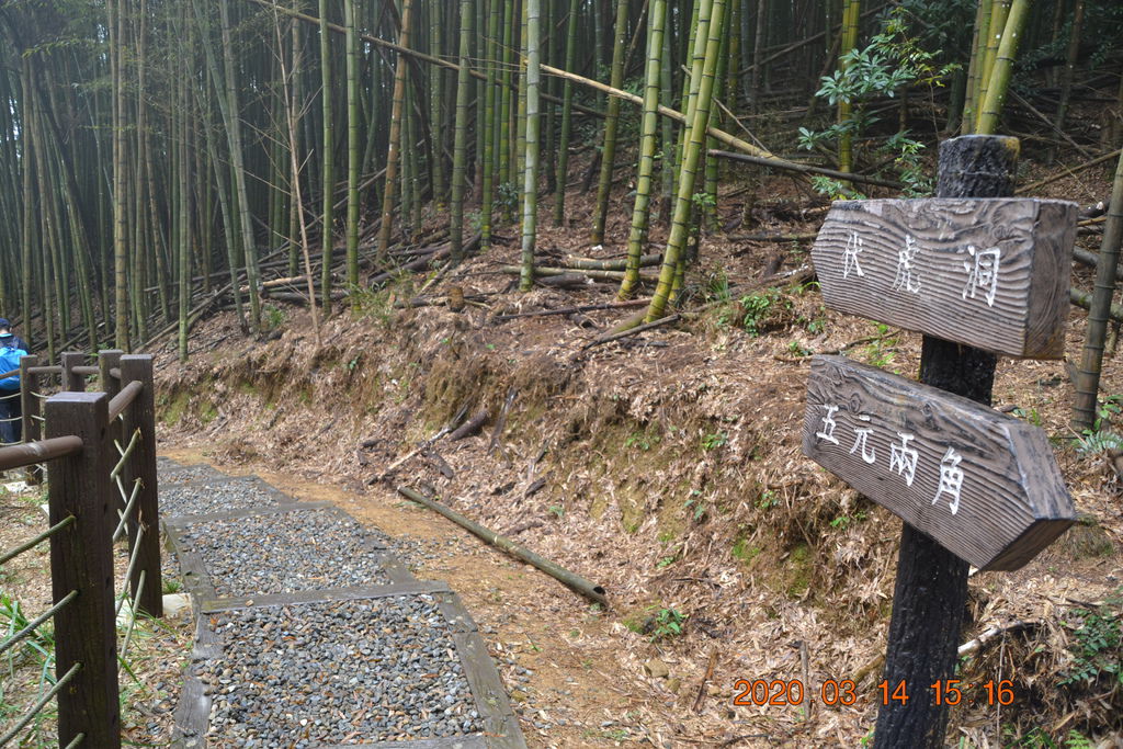DSC_0342.JPG DSC_0342.JPG
