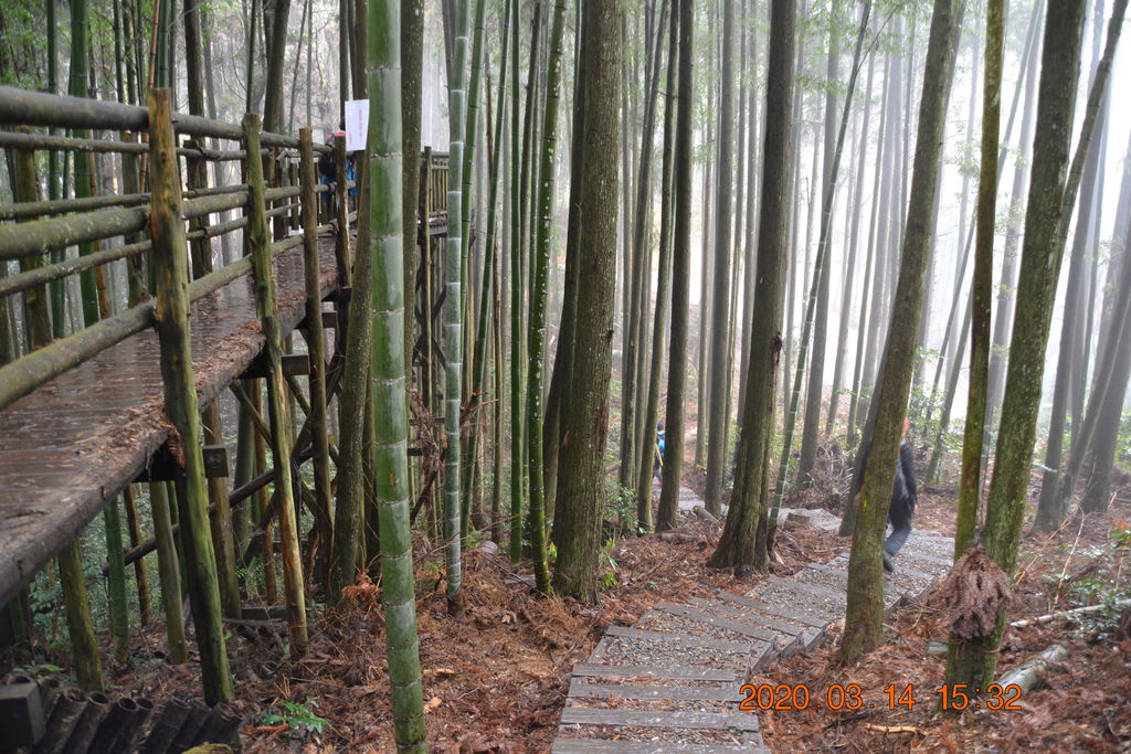 DSC_0368.JPG DSC_0368.JPG