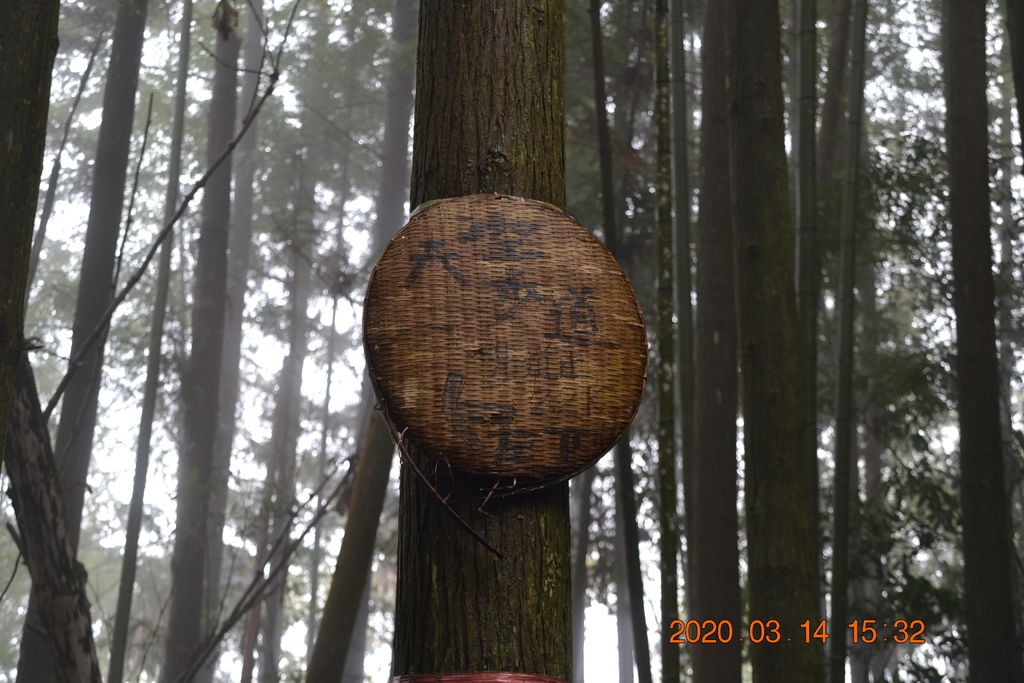 DSC_0366.JPG DSC_0366.JPG