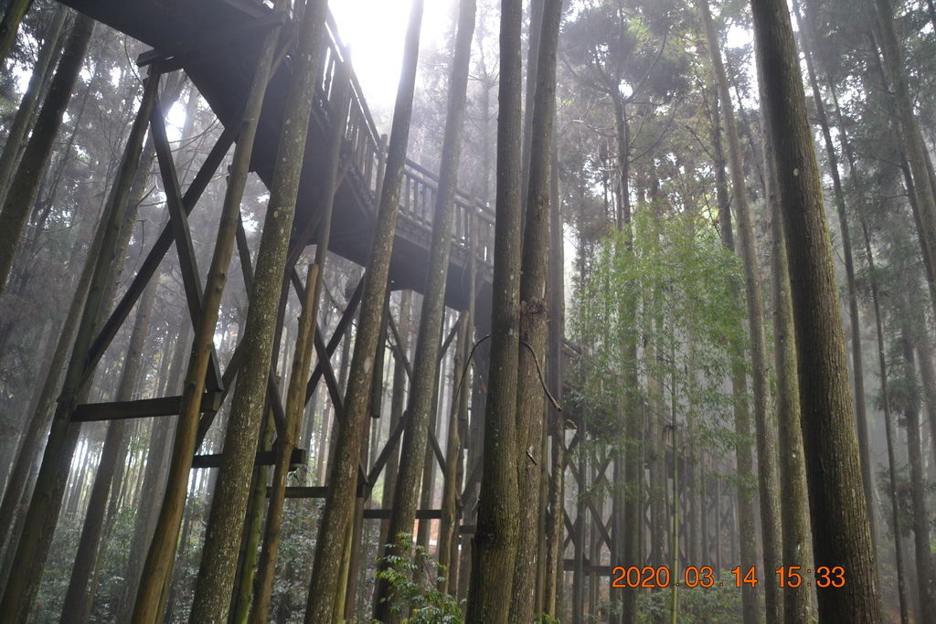 DSC_0369.JPG DSC_0369.JPG