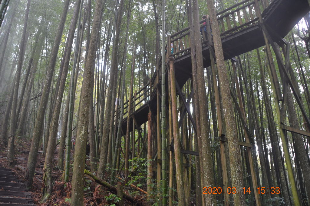 DSC_0370.JPG DSC_0370.JPG