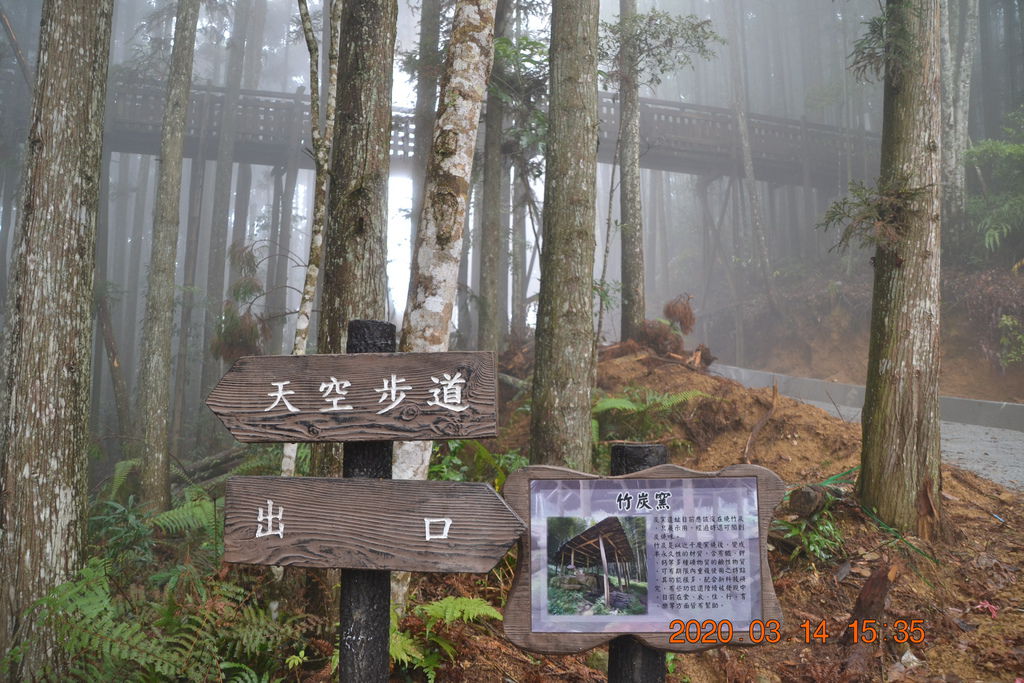 DSC_0371.JPG DSC_0371.JPG