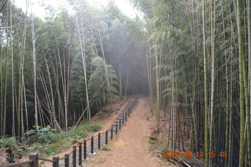 DSC_0372.JPG DSC_0372.JPG