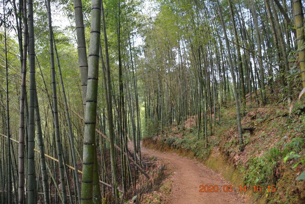DSC_0373.JPG DSC_0373.JPG