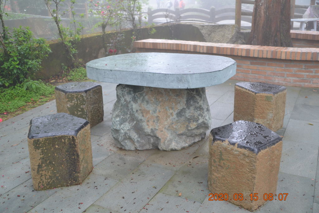 DSC_0427.JPG DSC_0427.JPG