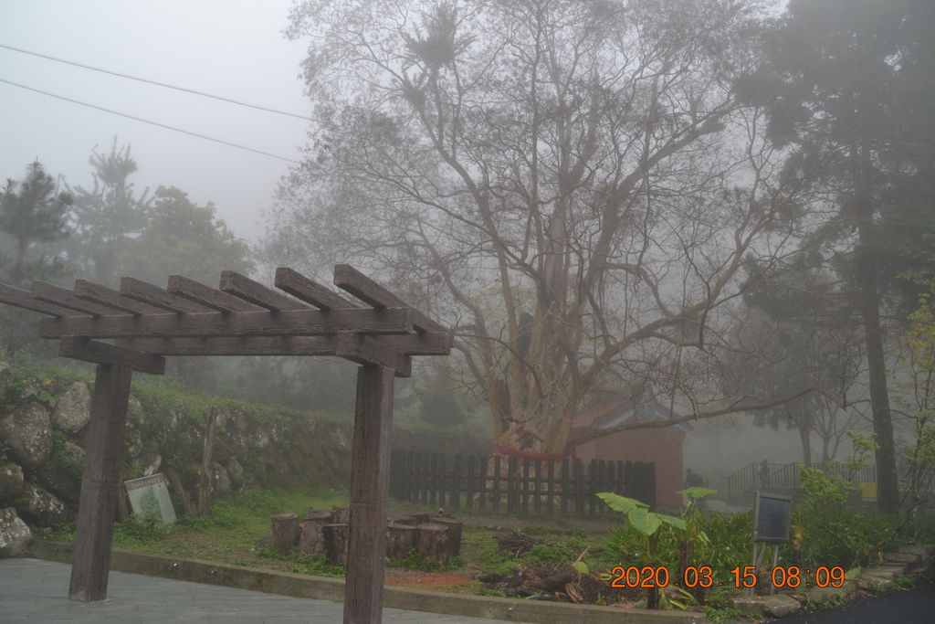 DSC_0433.JPG DSC_0433.JPG