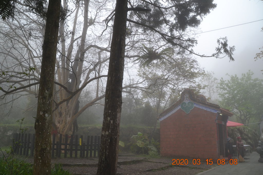 DSC_0429.JPG DSC_0429.JPG