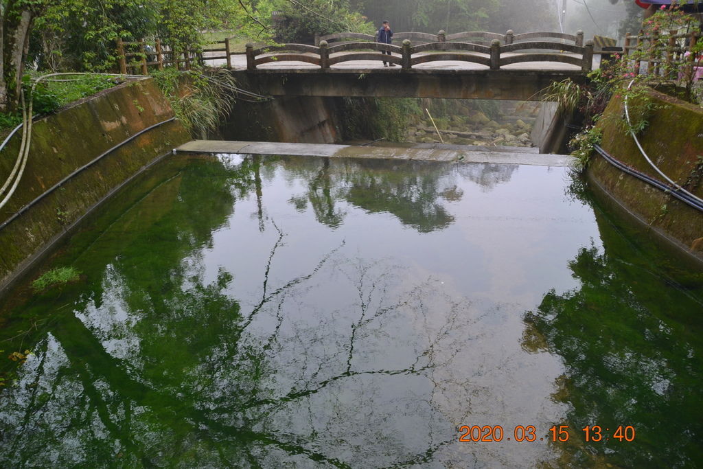 DSC_0635.JPG DSC_0635.JPG