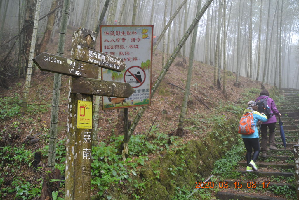 DSC_0447.JPG DSC_0447.JPG