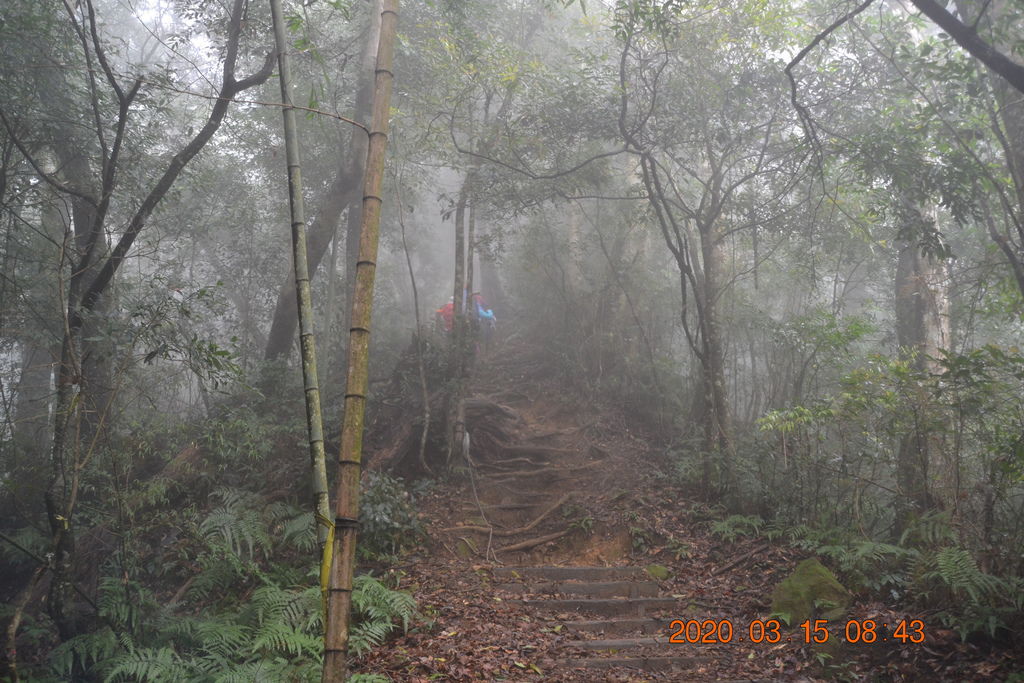 DSC_0454.JPG DSC_0454.JPG
