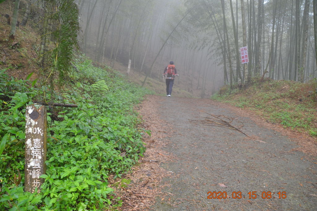 DSC_0445.JPG DSC_0445.JPG