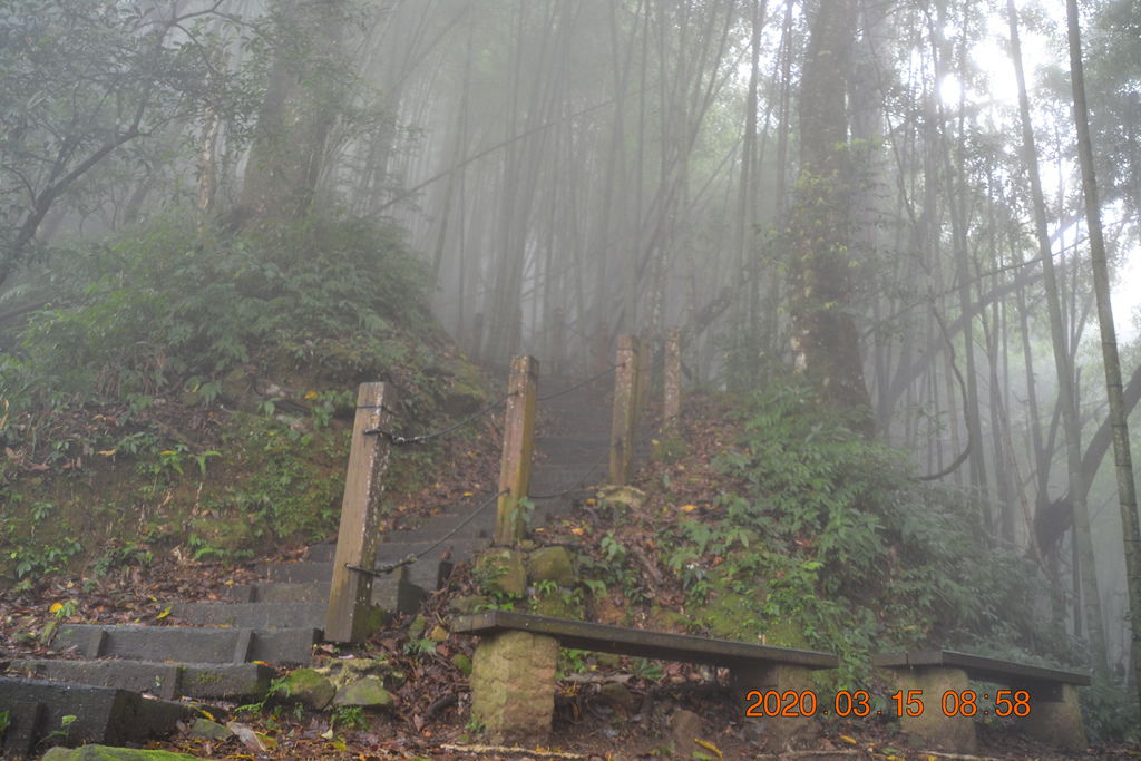 DSC_0461.JPG DSC_0461.JPG