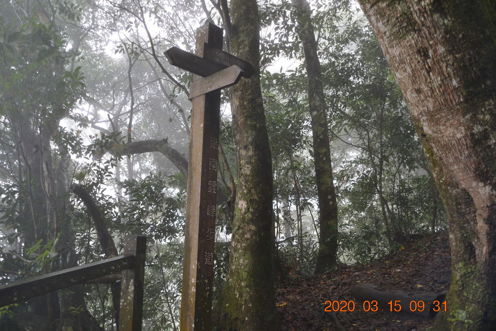 DSC_0489.JPG DSC_0489.JPG