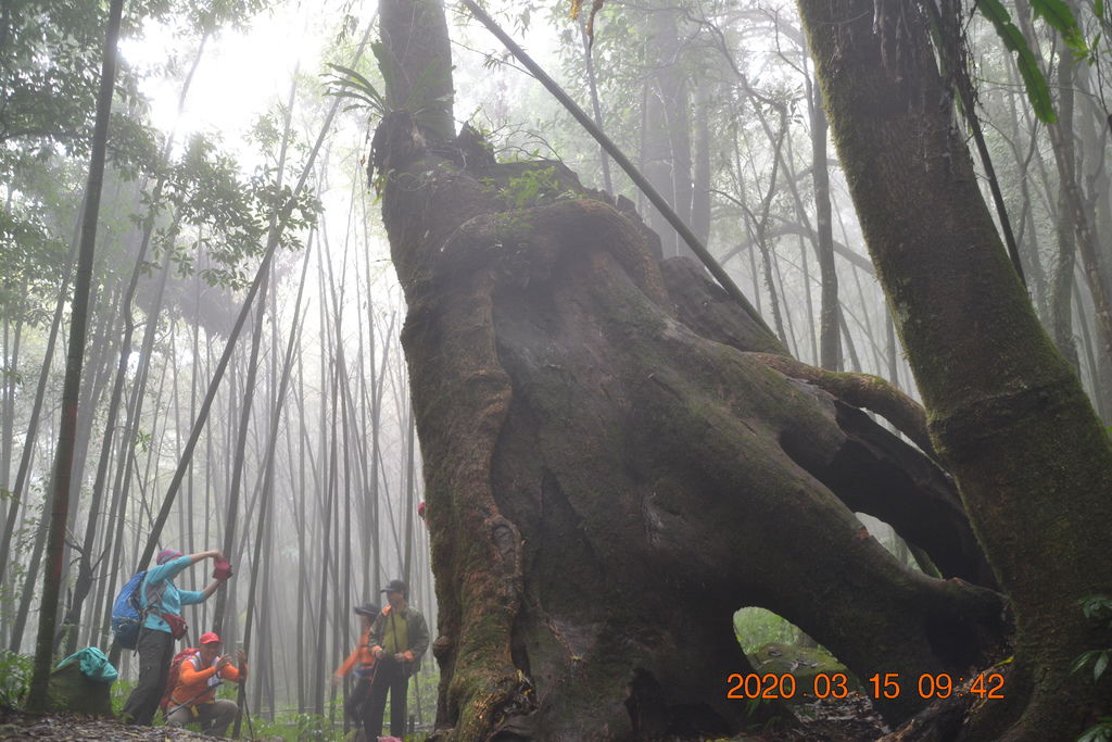 DSC_0498.JPG DSC_0498.JPG