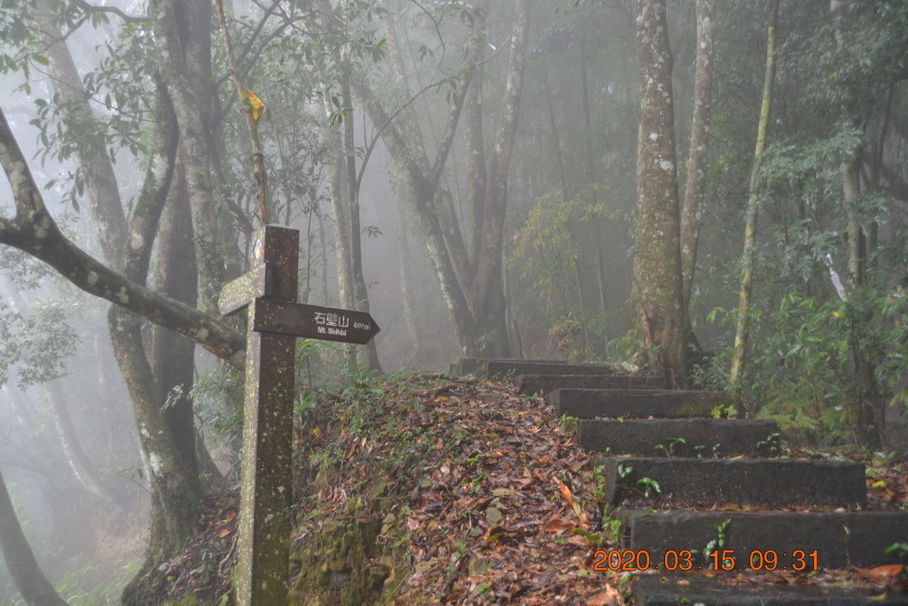DSC_0490.JPG DSC_0490.JPG