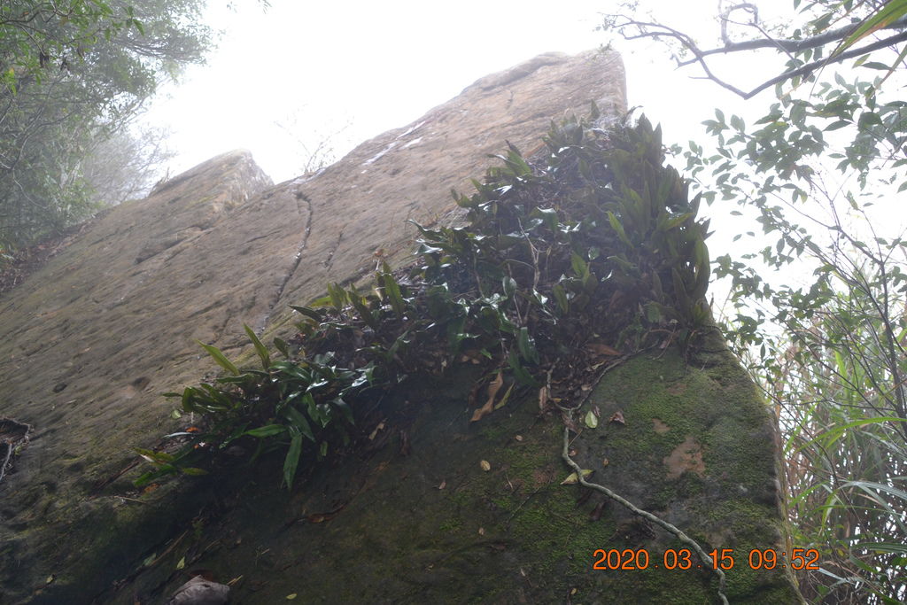DSC_0517.JPG DSC_0517.JPG