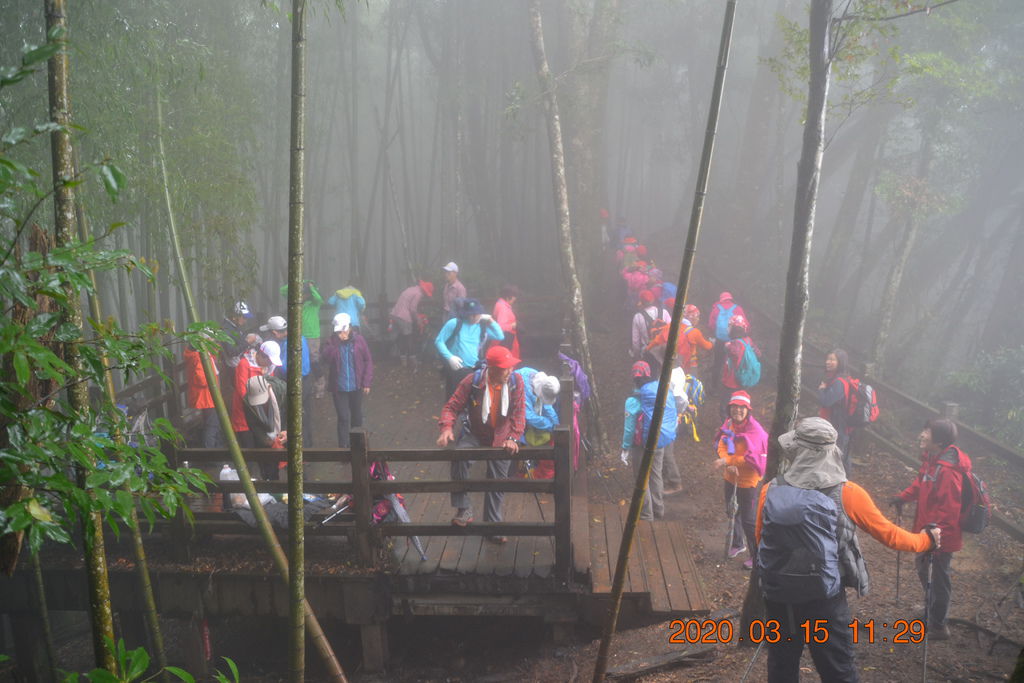 DSC_0576.JPG DSC_0576.JPG