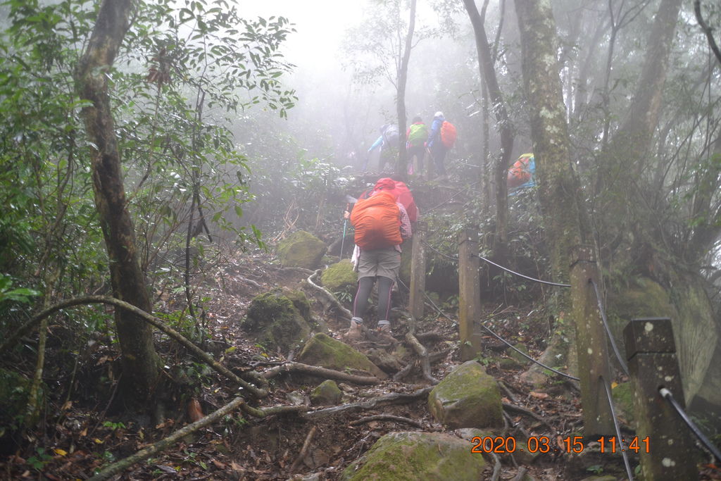 DSC_0587.JPG DSC_0587.JPG