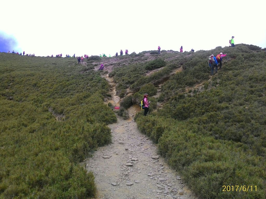 58161.jpg 58161.jpg
