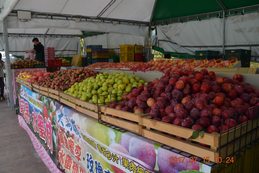DSC_0013.JPG DSC_0013.JPG