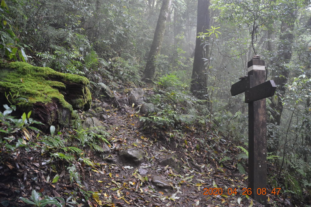 DSC_0012.JPG DSC_0012.JPG