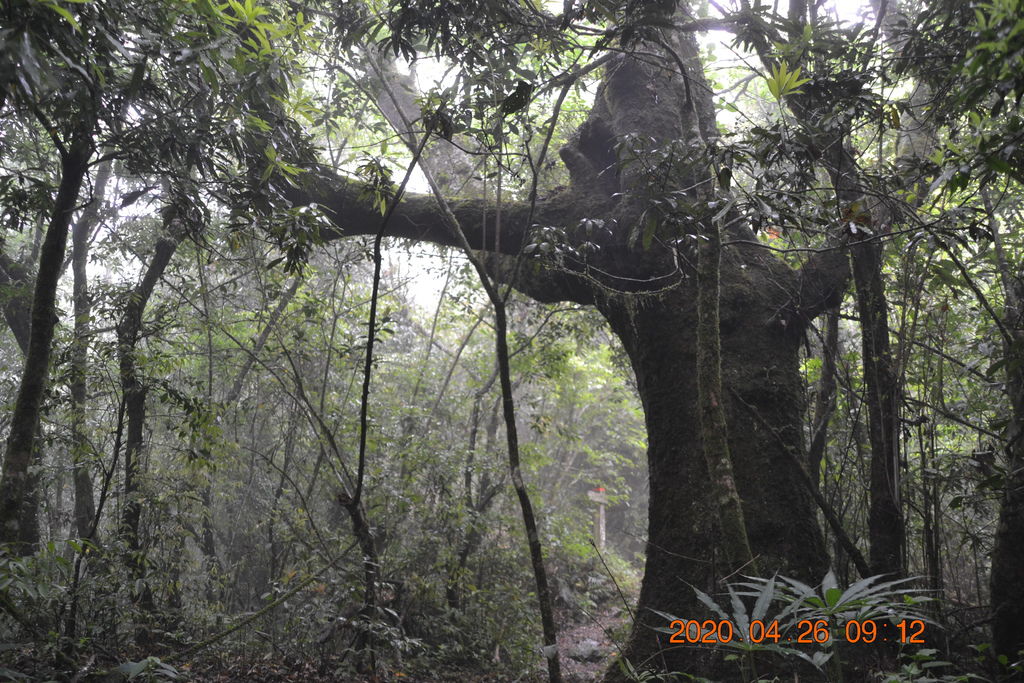 DSC_0029.JPG DSC_0029.JPG
