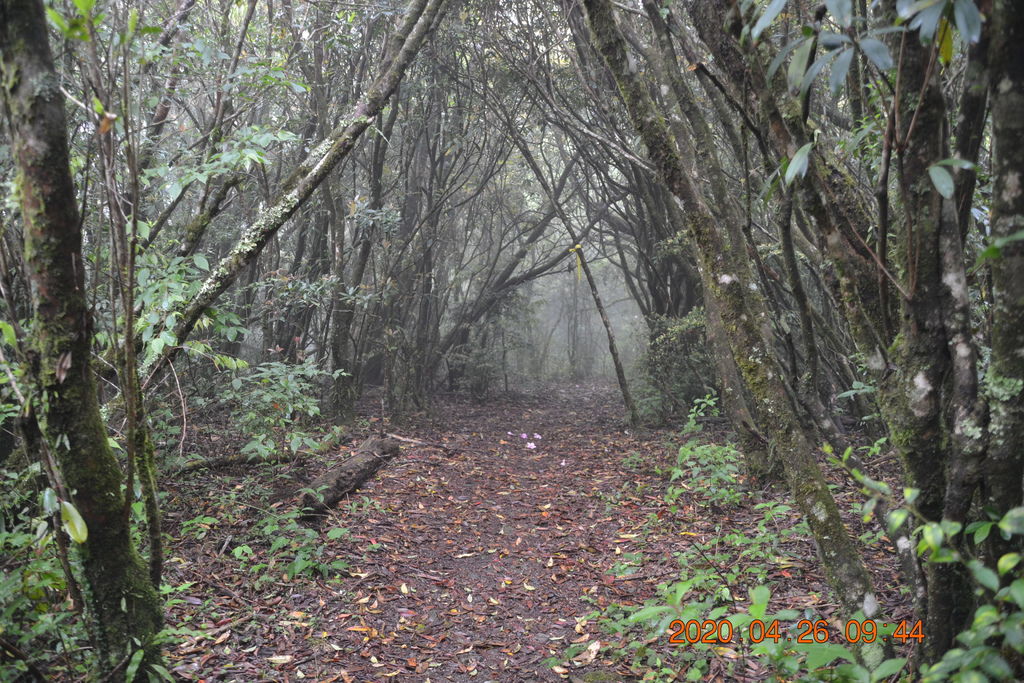 DSC_0045.JPG DSC_0045.JPG