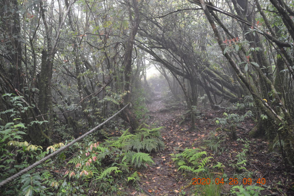 DSC_0041.JPG DSC_0041.JPG