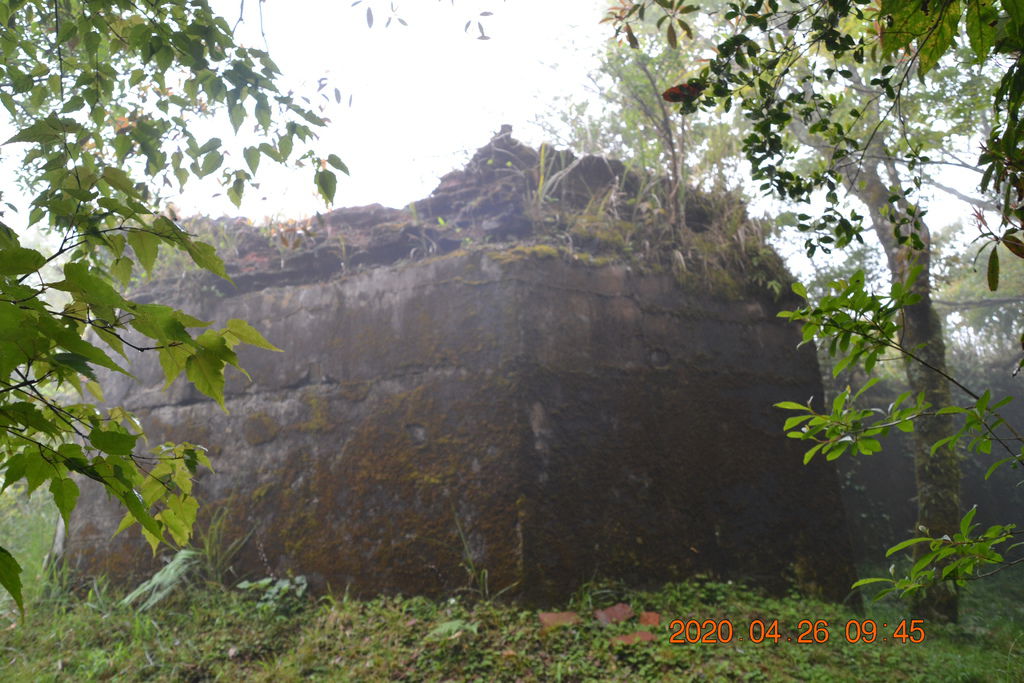 DSC_0046.JPG DSC_0046.JPG